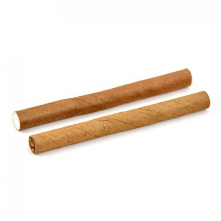 Candlelight Filter - White (Coconut)